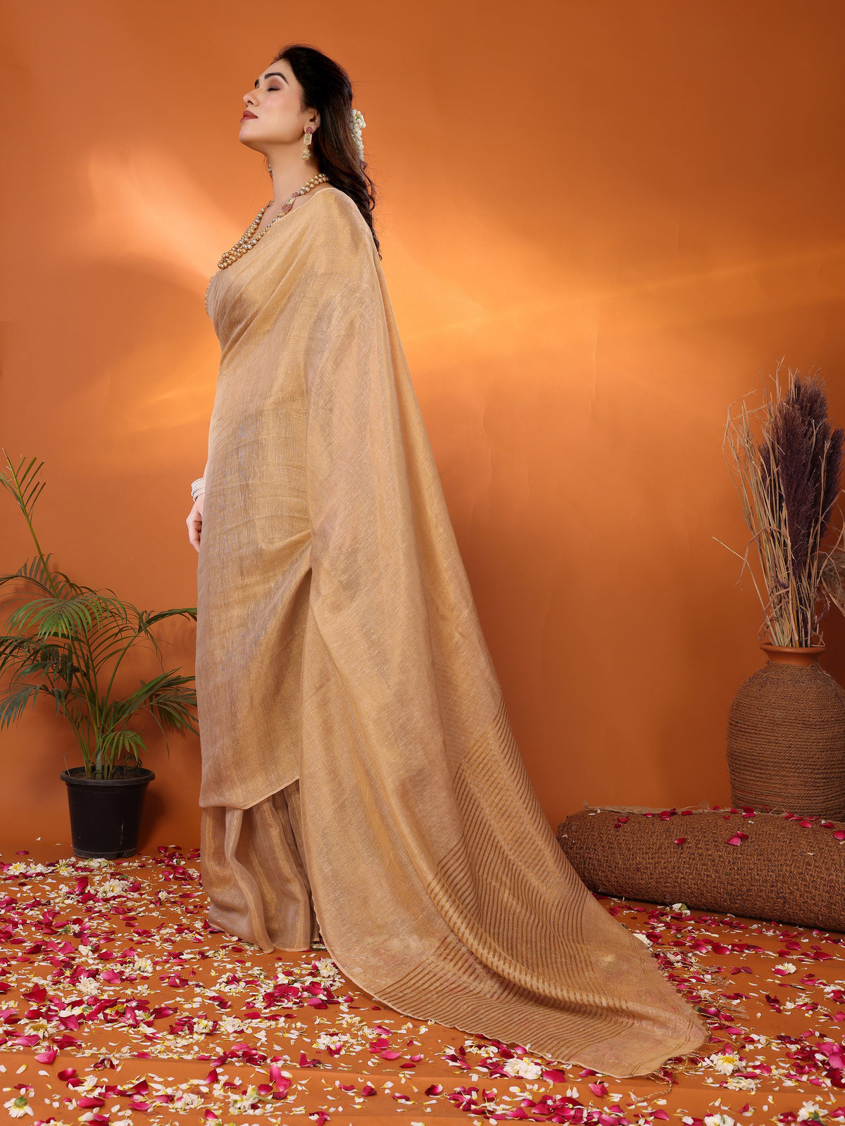 Shakuntala tissue saree with embroidered blouse